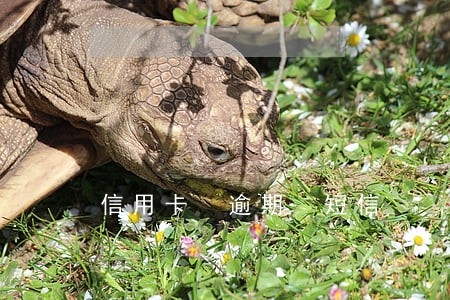 信用卡 逾期 短信 信用卡 逾期 短信